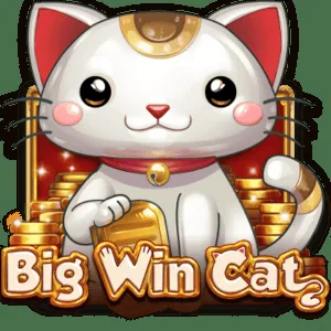 Big Win Cat